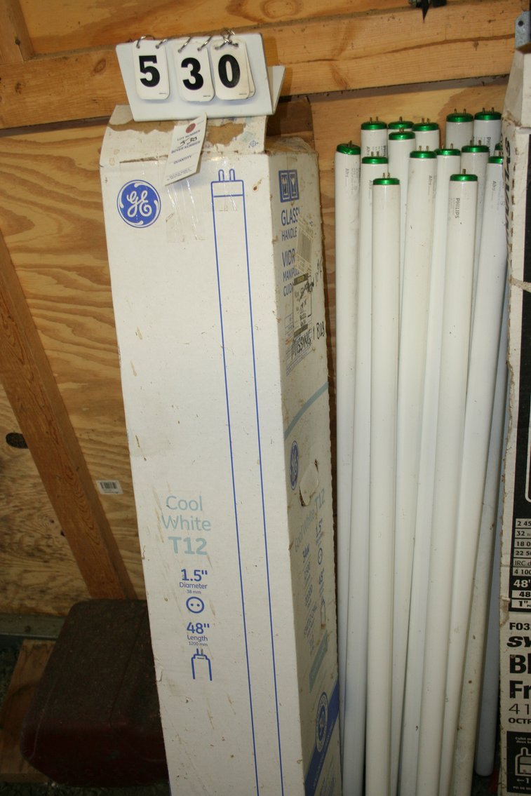 Image for Fluorescent Bulbs 48