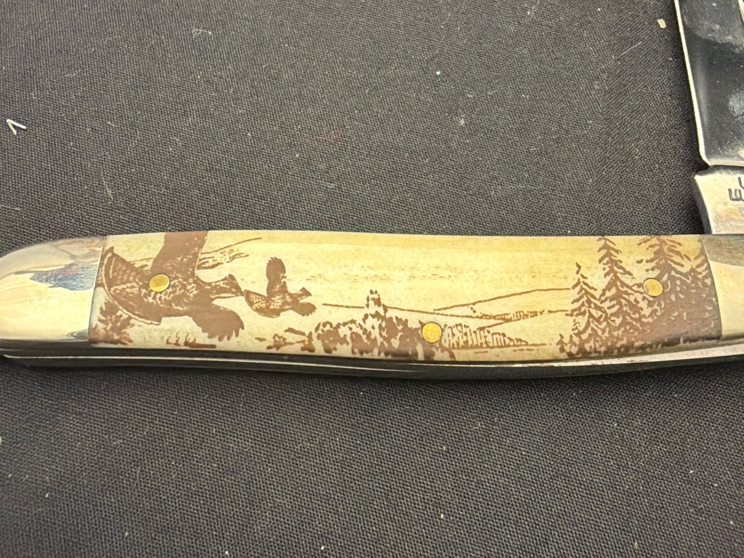 Image for Case Muskrat Natrl