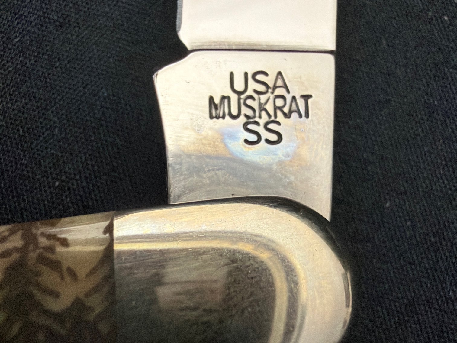 Image for Case Muskrat Natrl