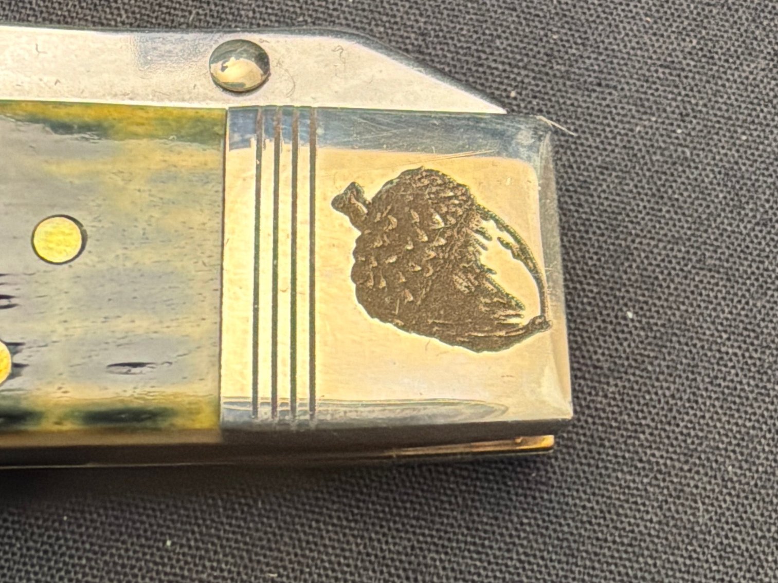 Image for Case Cheetah 2018