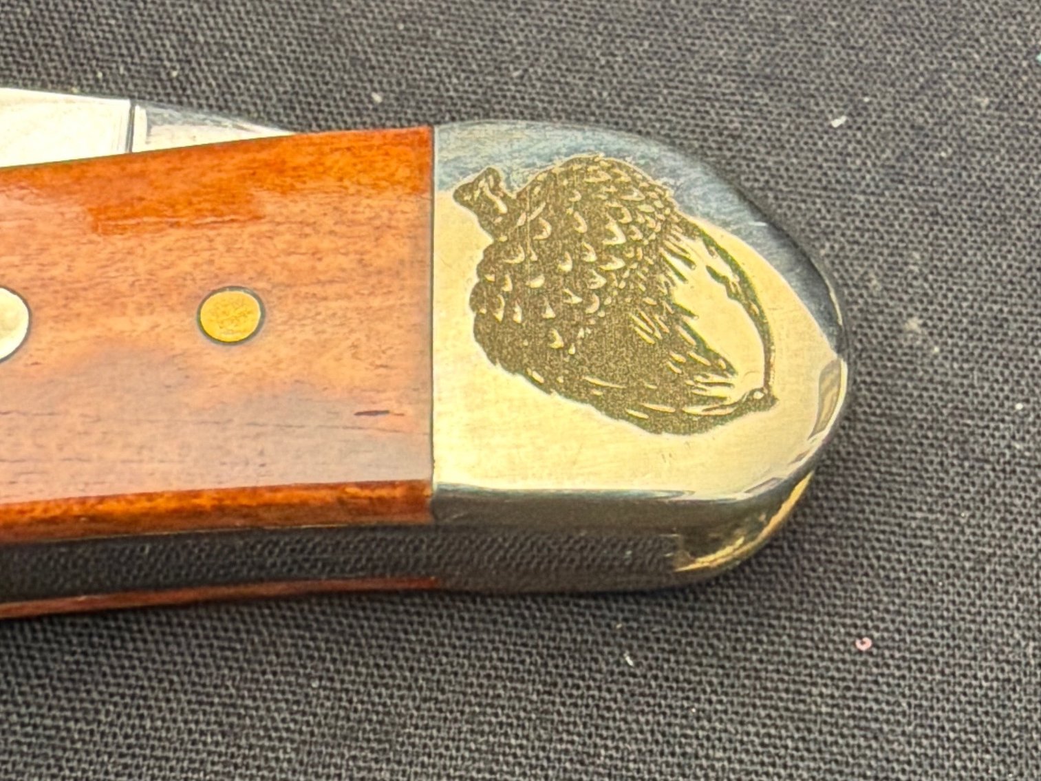 Image for Case Seahorse Whttlr. Chsnt.