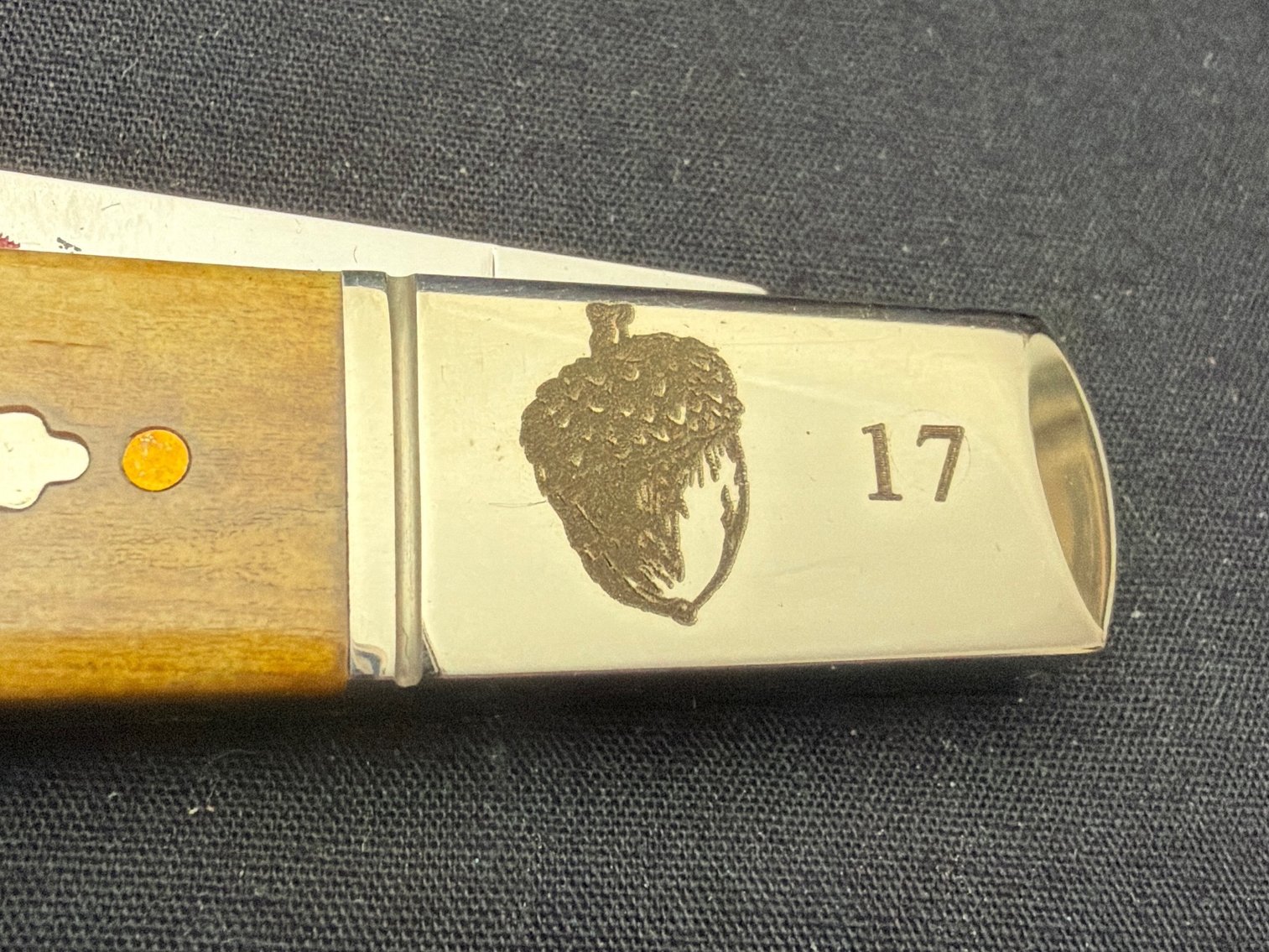 Image for Case antique bone smooth Barlow
