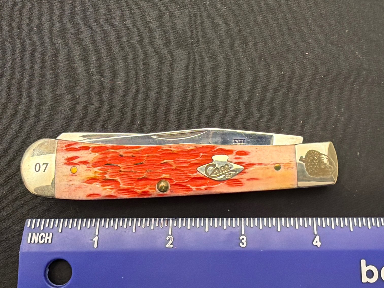 Image for Case Trapper Brnt Salmo