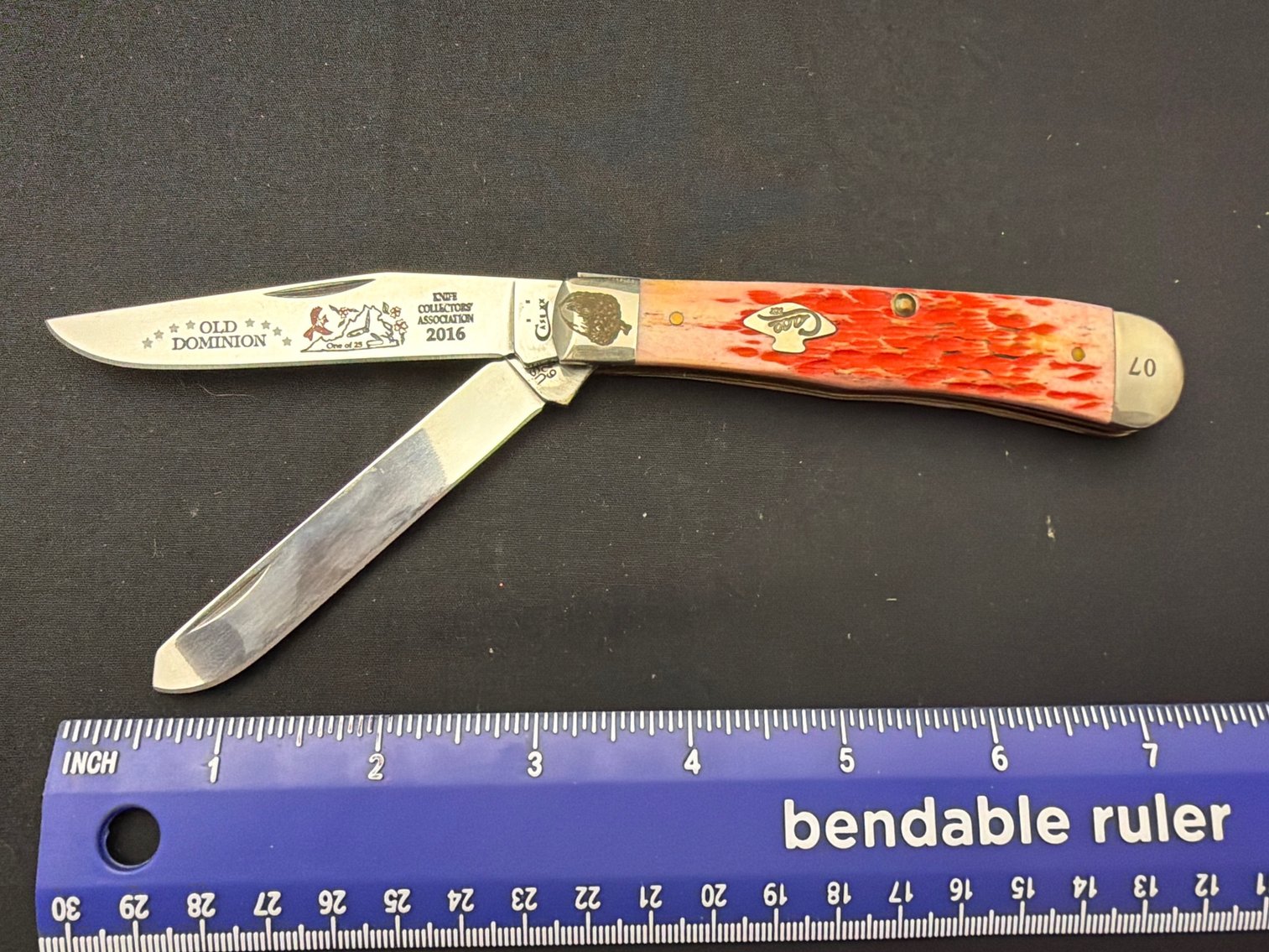 Image for Case Trapper Brnt Salmo