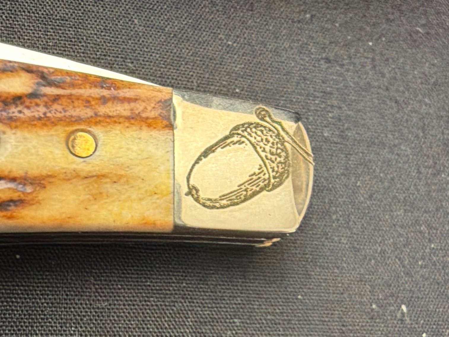 Image for Case Sway Back Jack Stag
