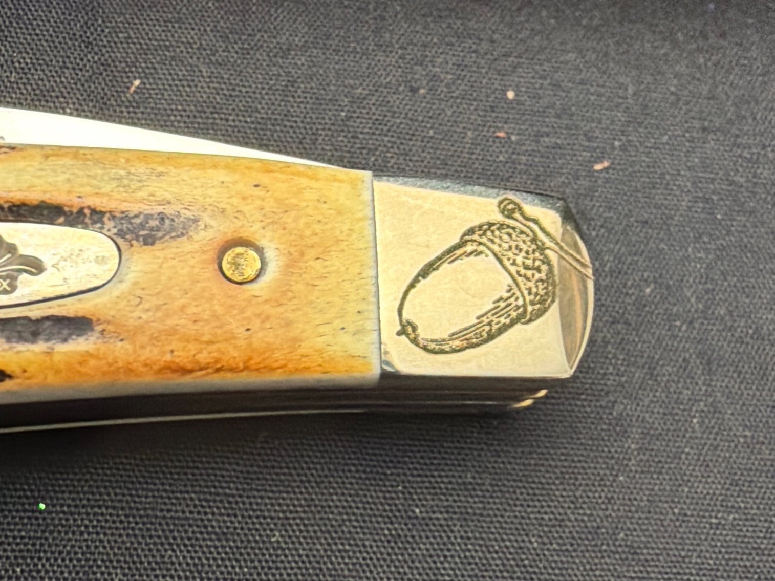 Image for Case Sway Back Jack Stag