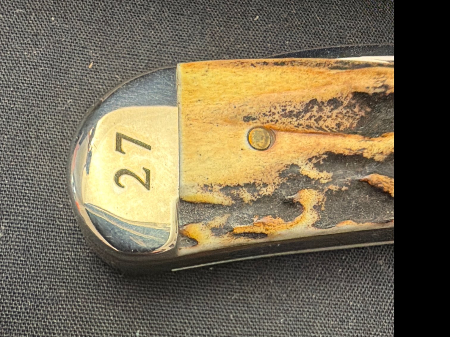 Image for Case Sway Back Jack Stag