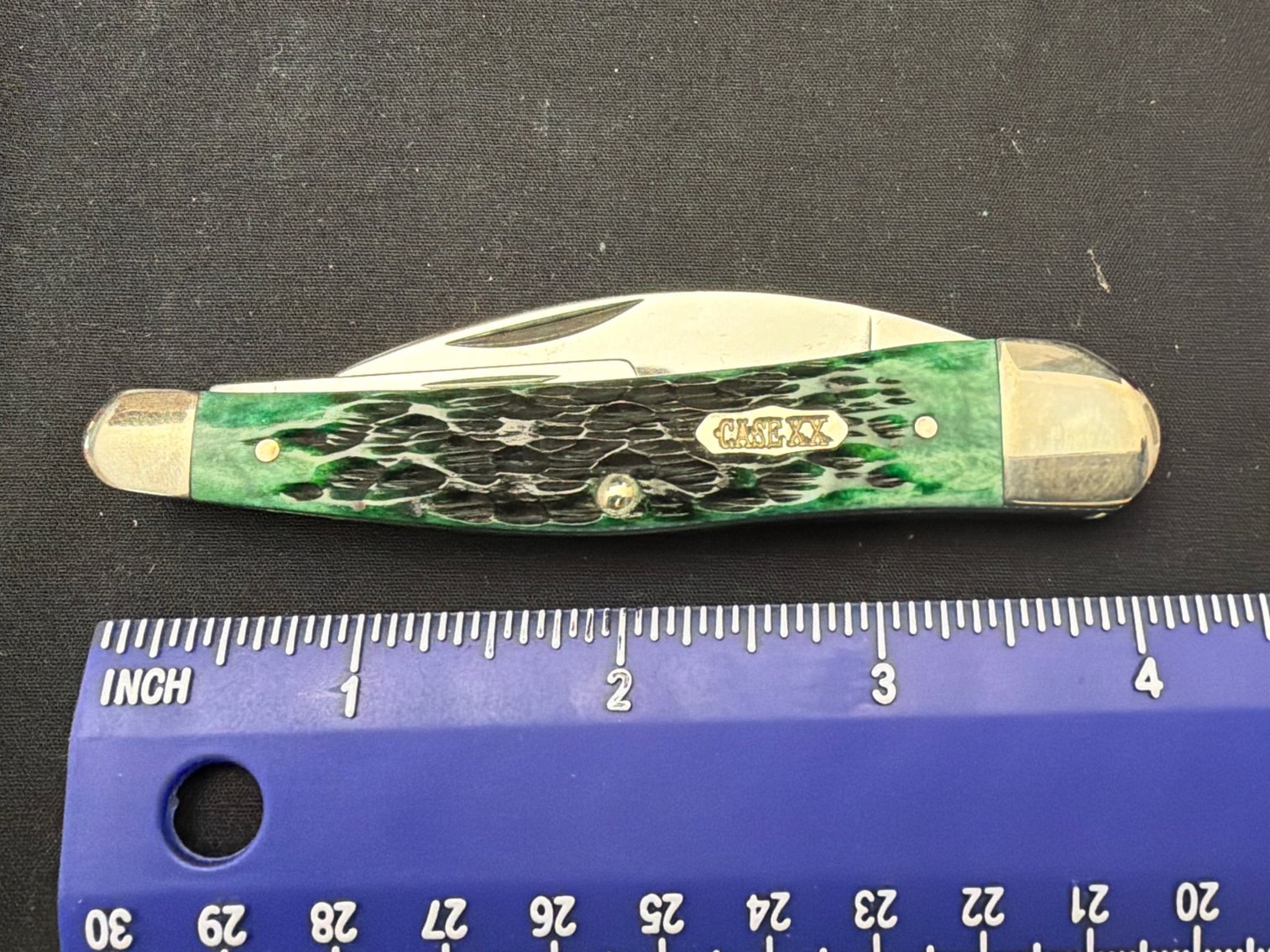Image for Case Select SeaHorse Bur Grn