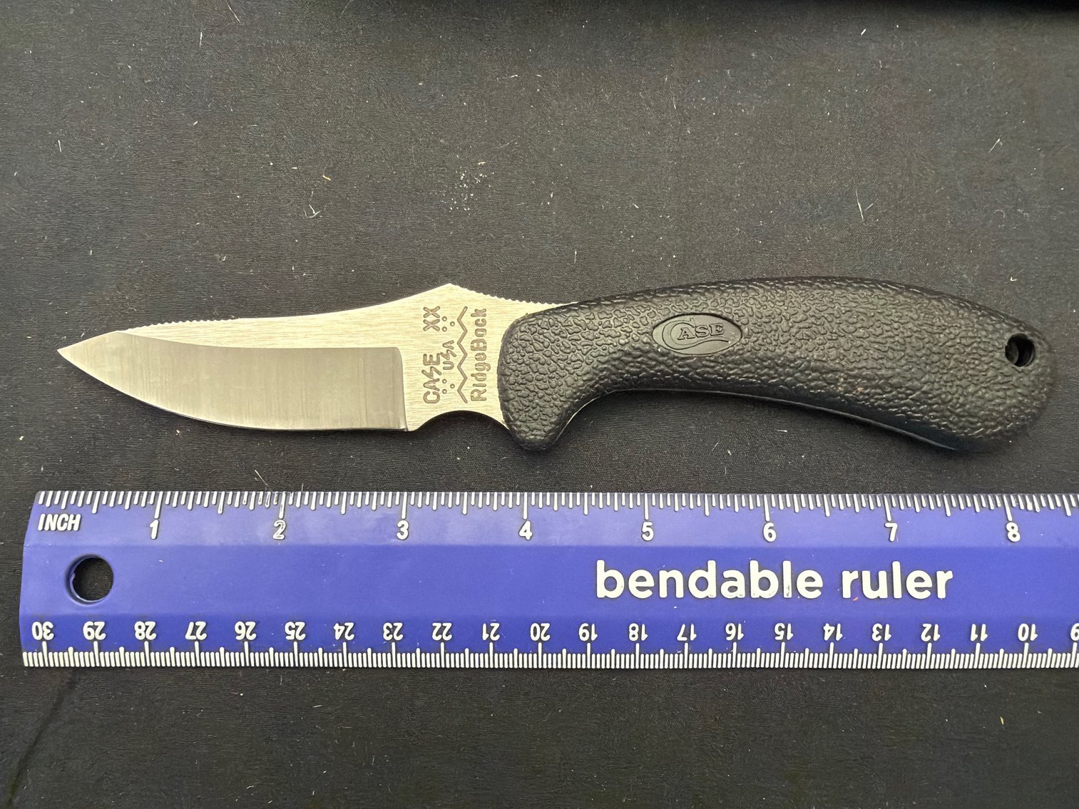 Image for Case Ridgeback