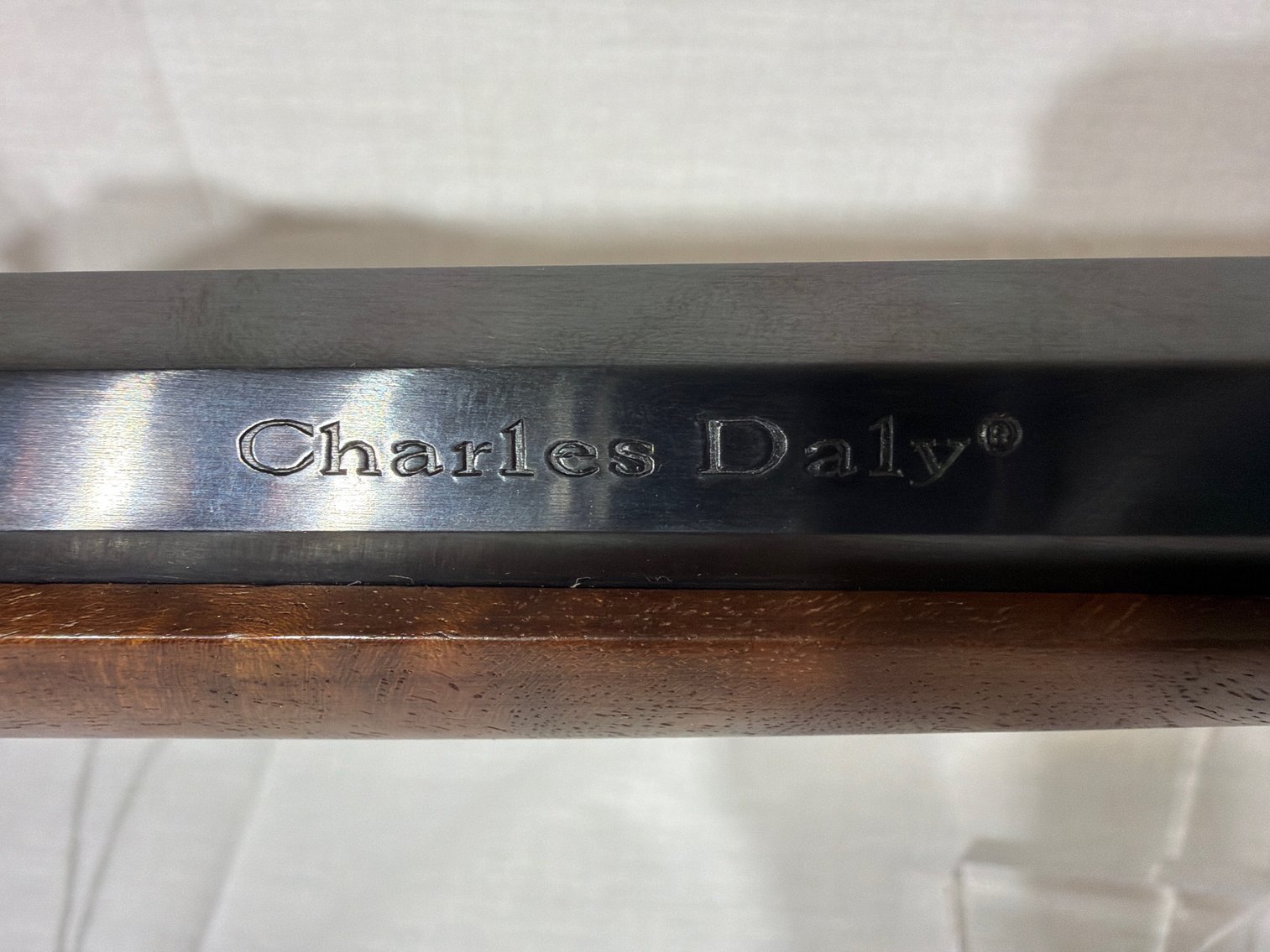 Image for Charles Daily 38/55 Winchester