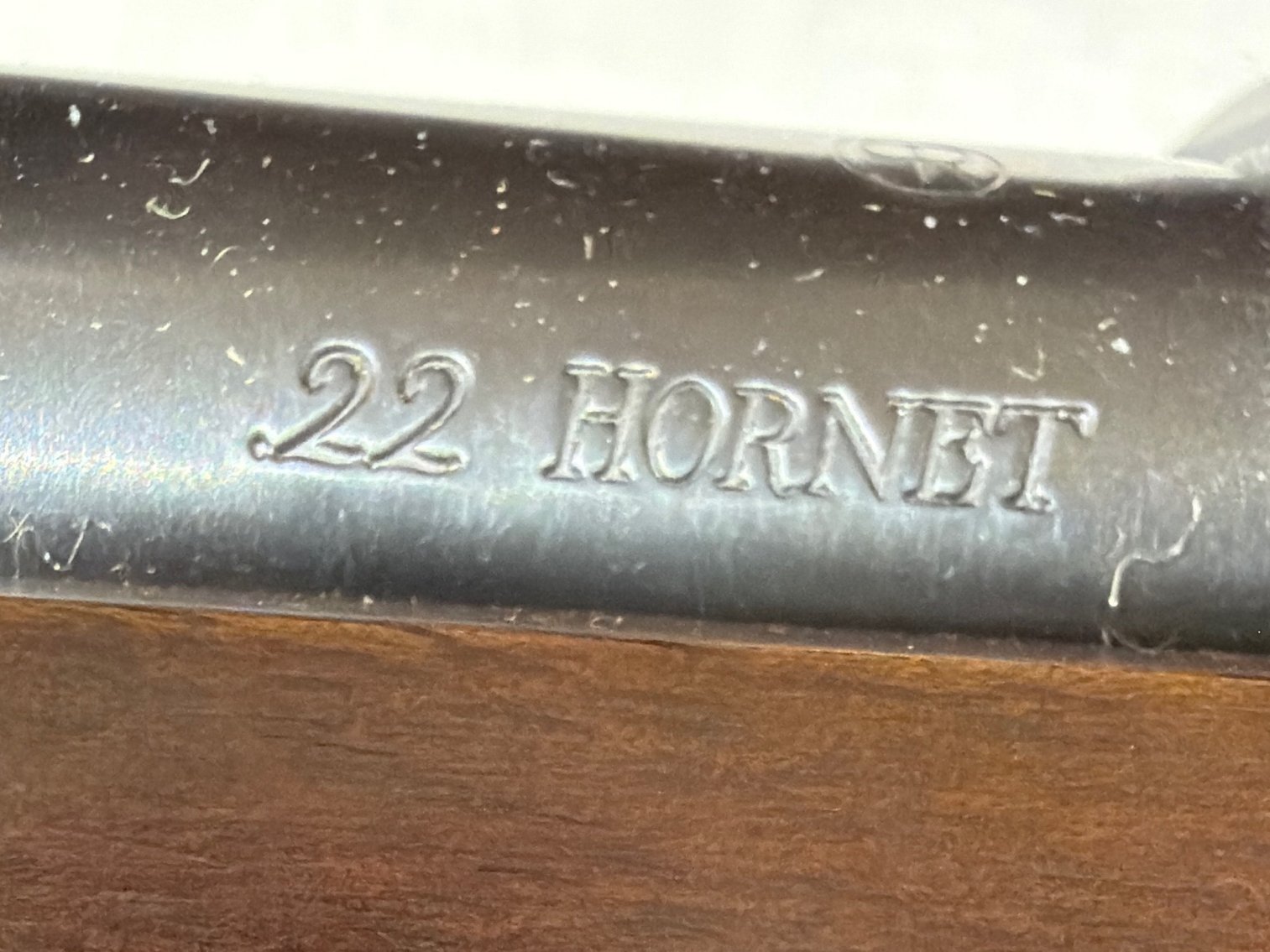 Image for Ruger 77/22. 22 Hornet
