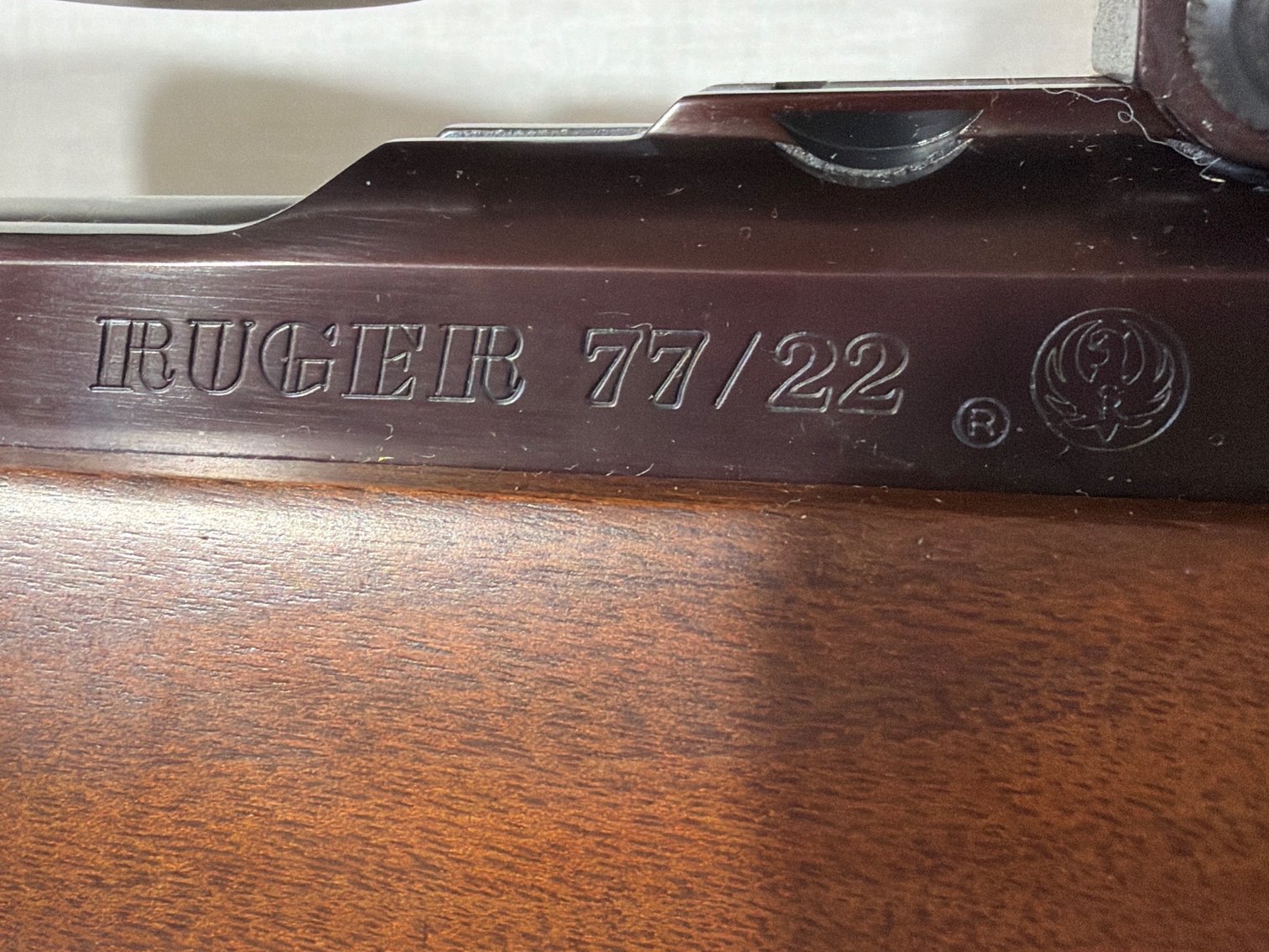 Image for Ruger 77/22. 22 Hornet