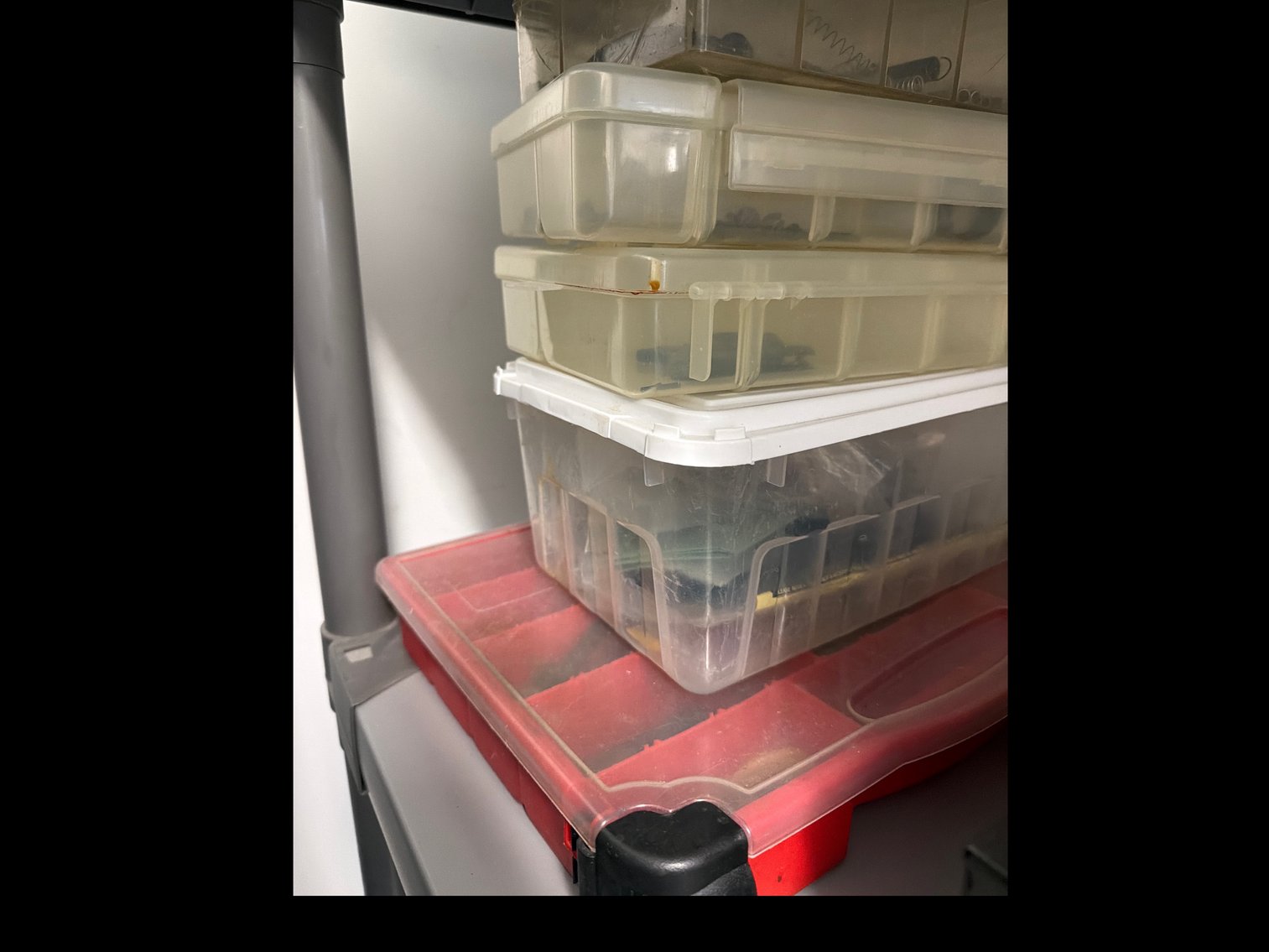 Image for Contents of shelf