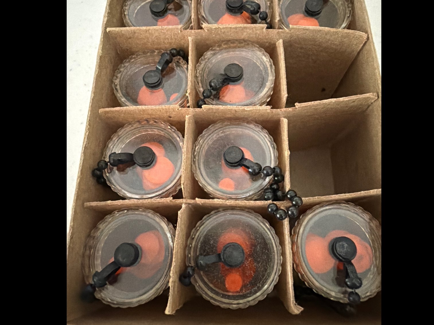 Image for Turkey calls and ear plugs