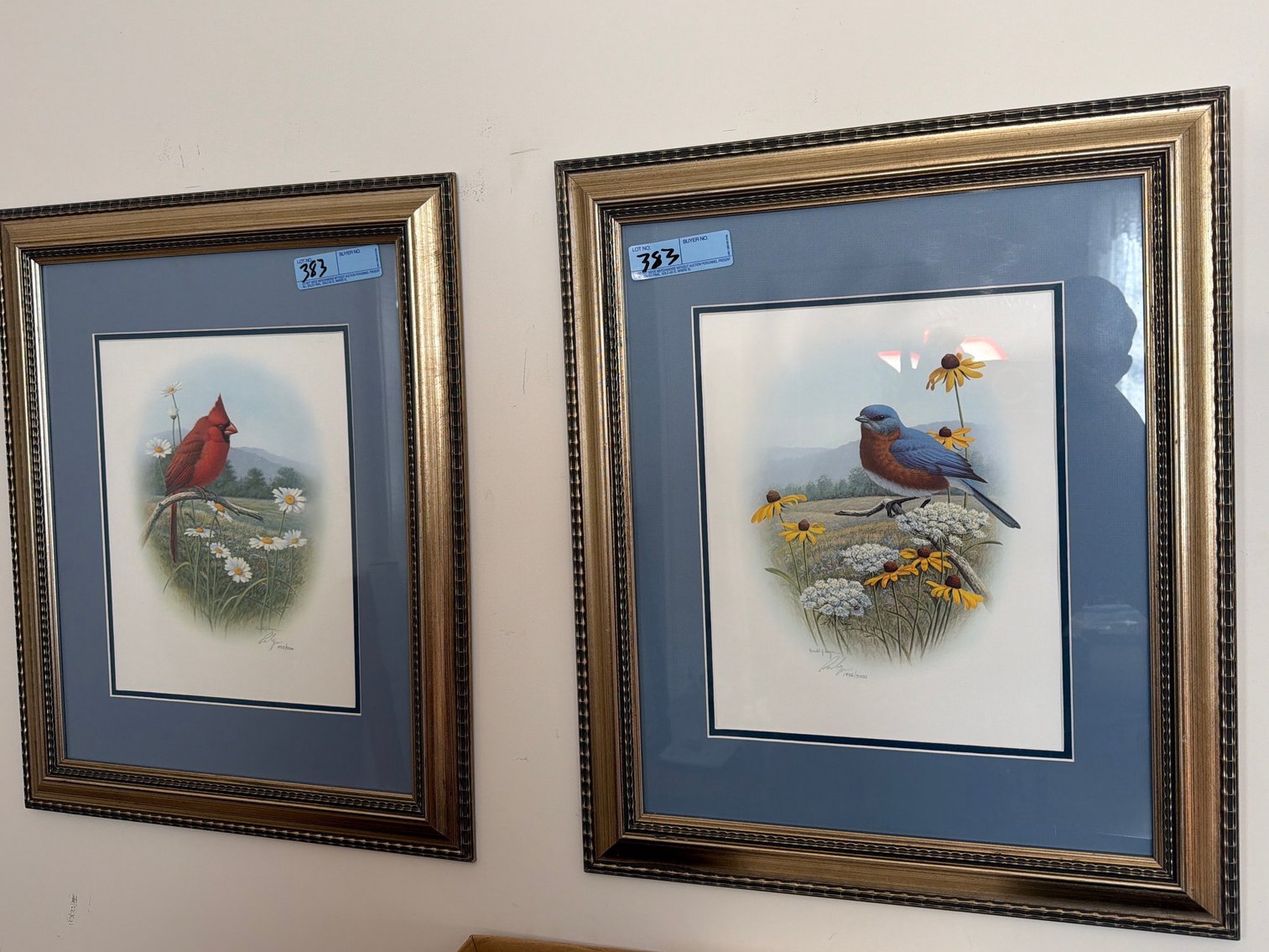 Image for Two framed pictures