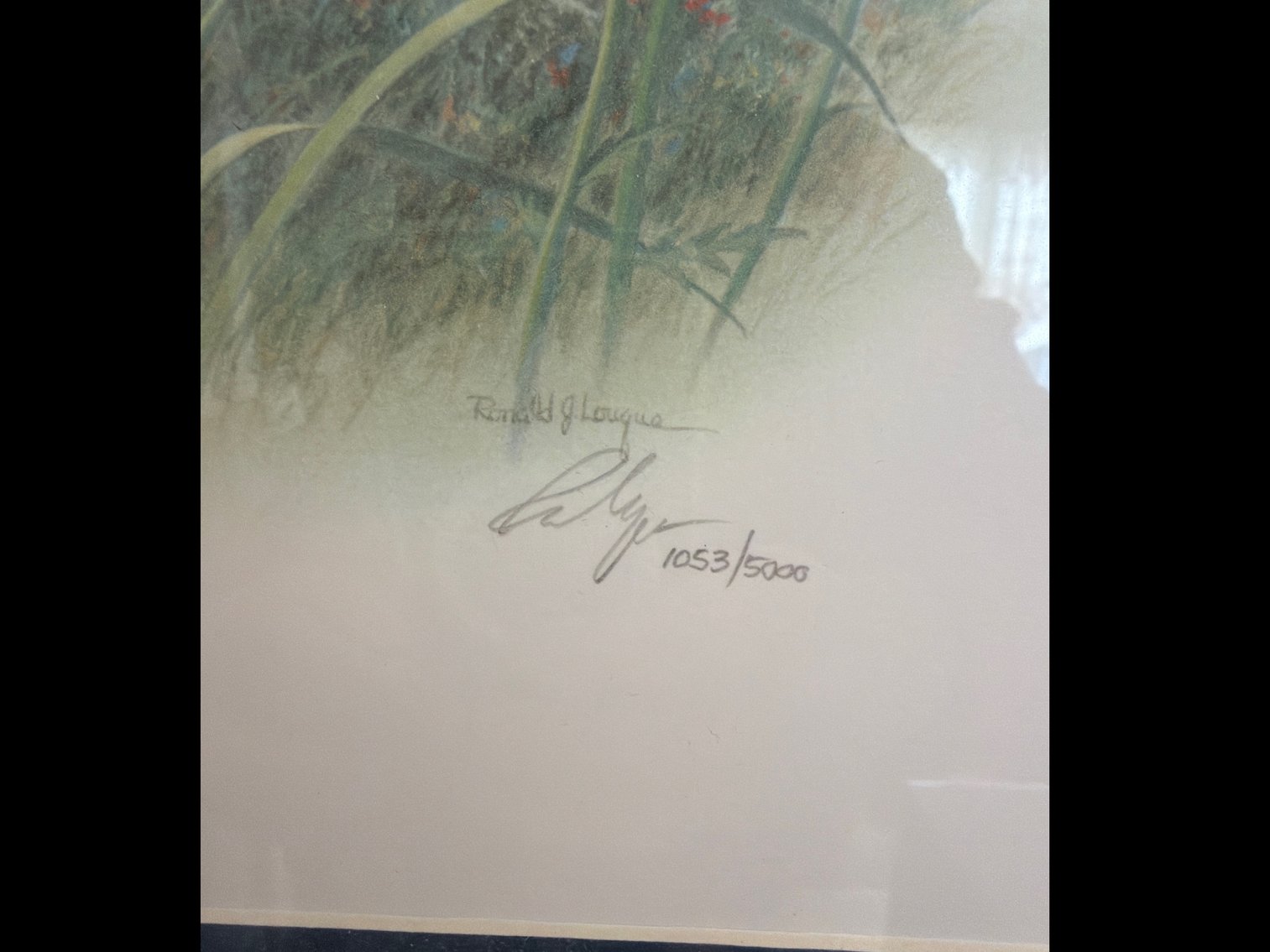 Image for Two framed pictures