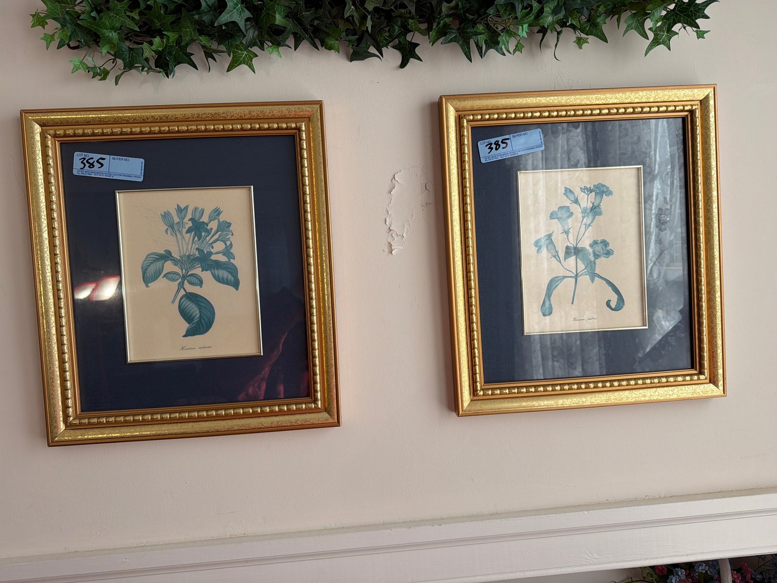 Image for Two framed pictures
