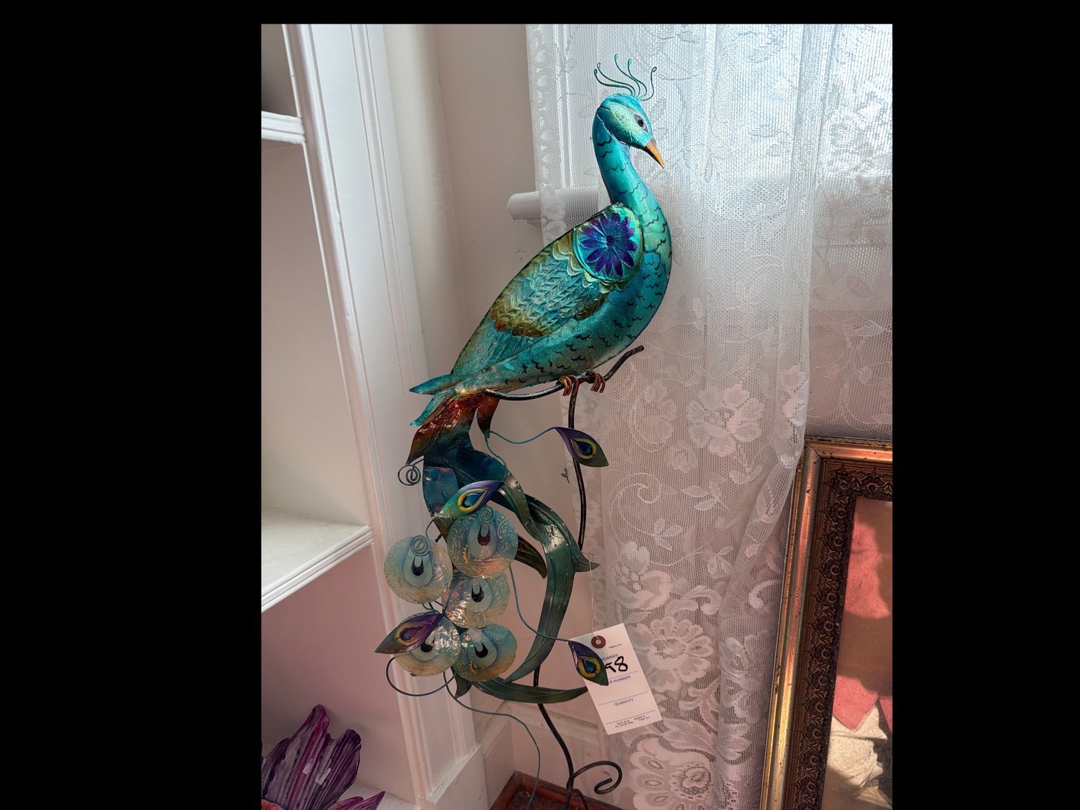 Image for Peacock