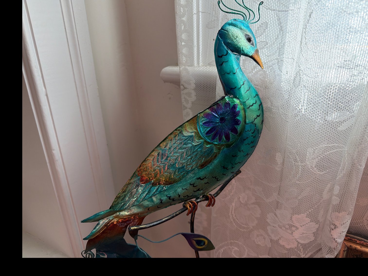 Image for Peacock