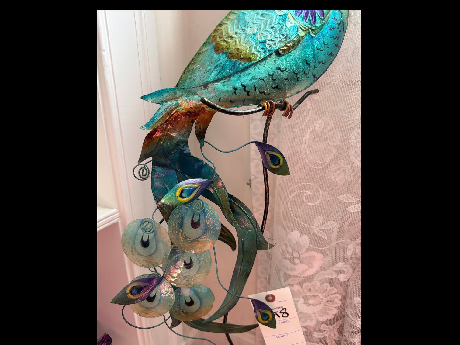 Image for Peacock