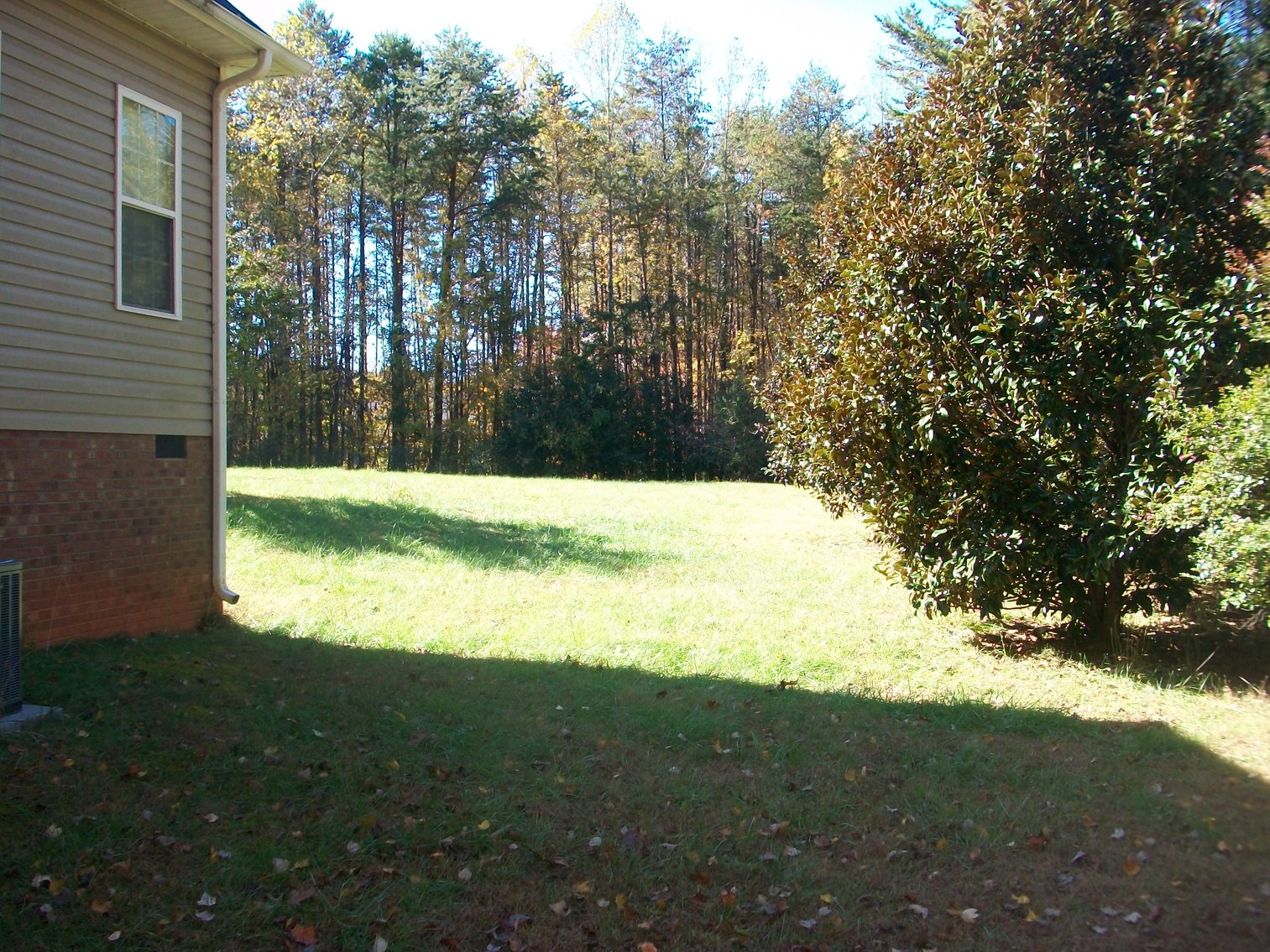 Image for Blue Ridge Bank - Pennington