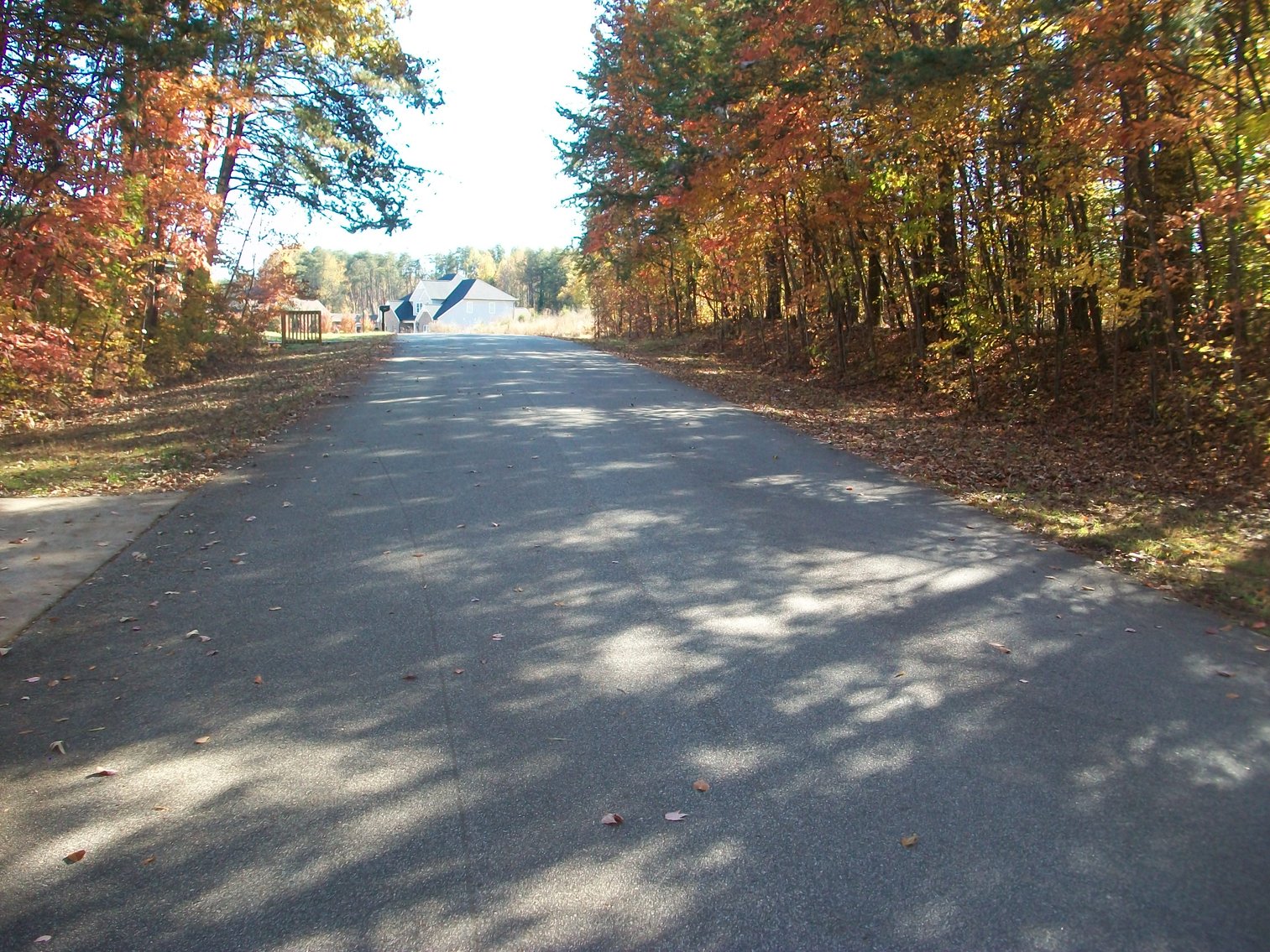 Image for Blue Ridge Bank - Pennington