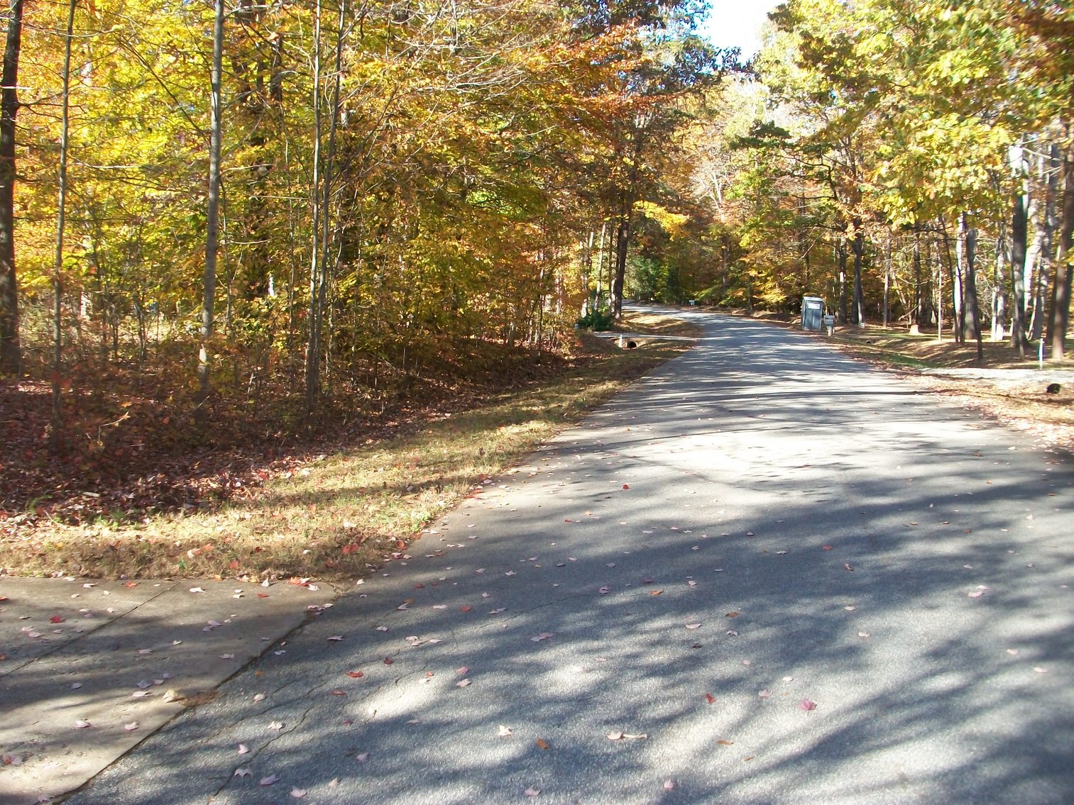 Image for Blue Ridge Bank - Pennington