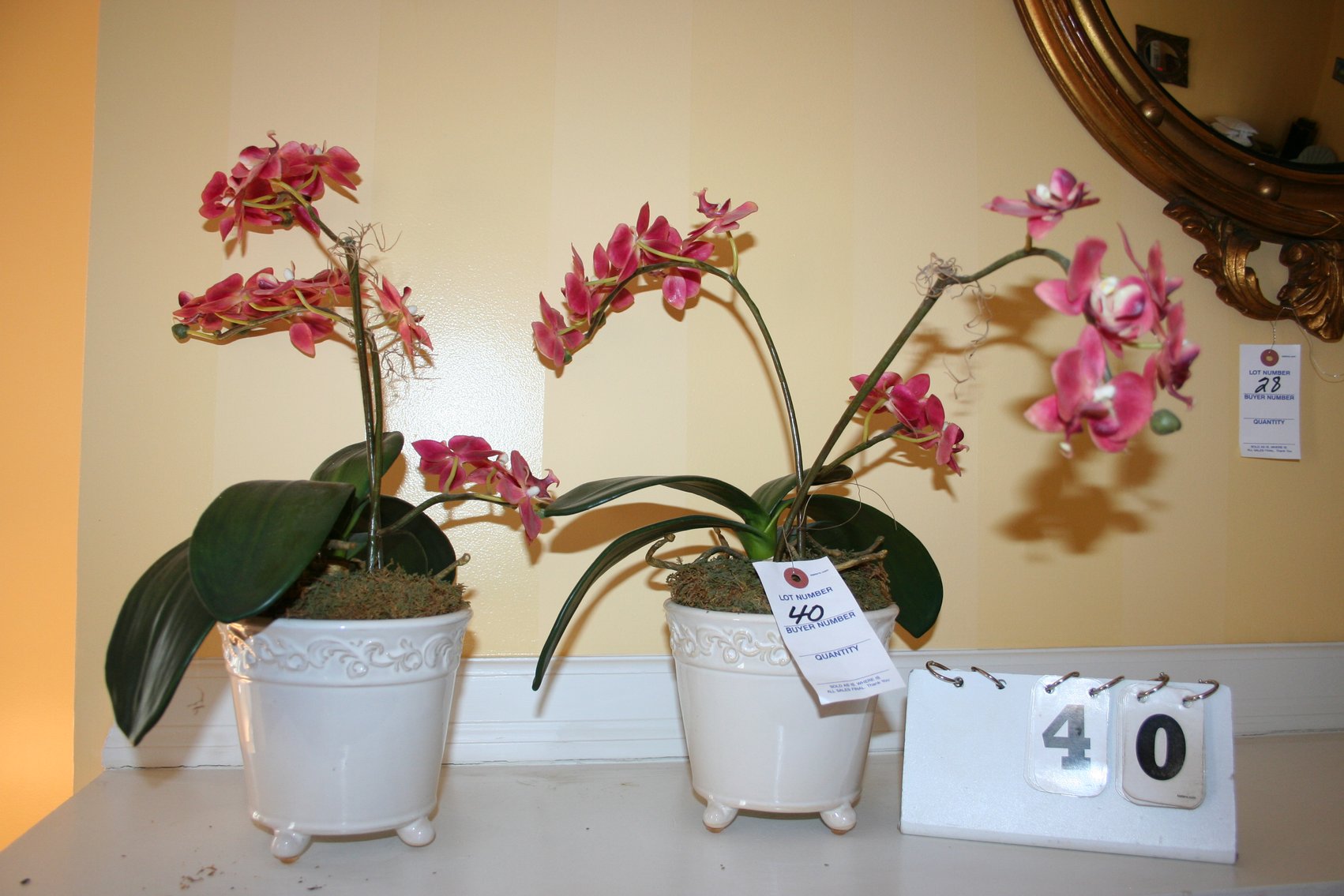 Image for Orcids / Planter Pots