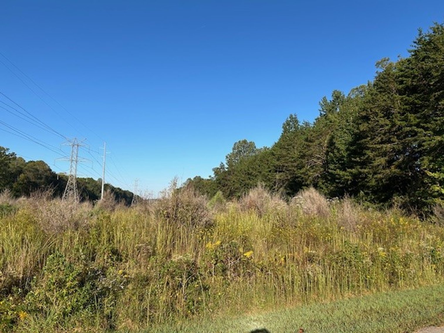 Image for Blue Ridge Bank - Pennington