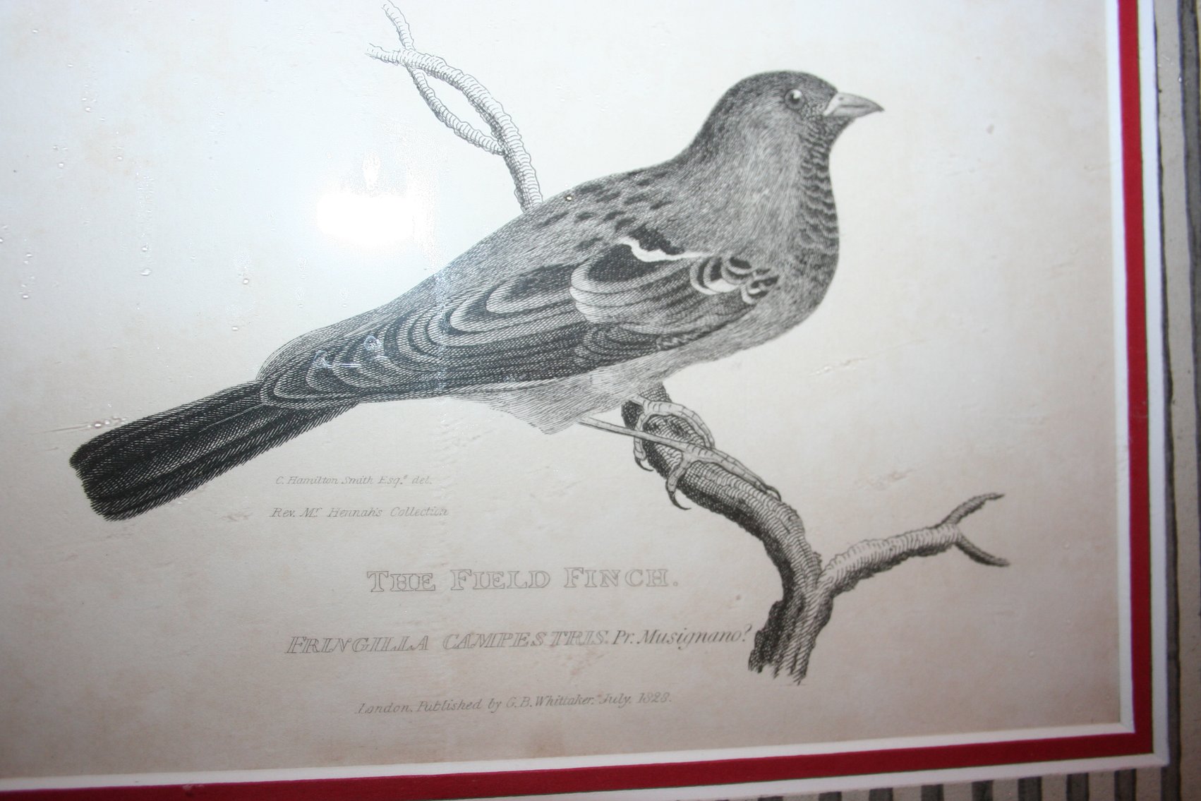 Image for Two Copper Engravings (Early 1800's)