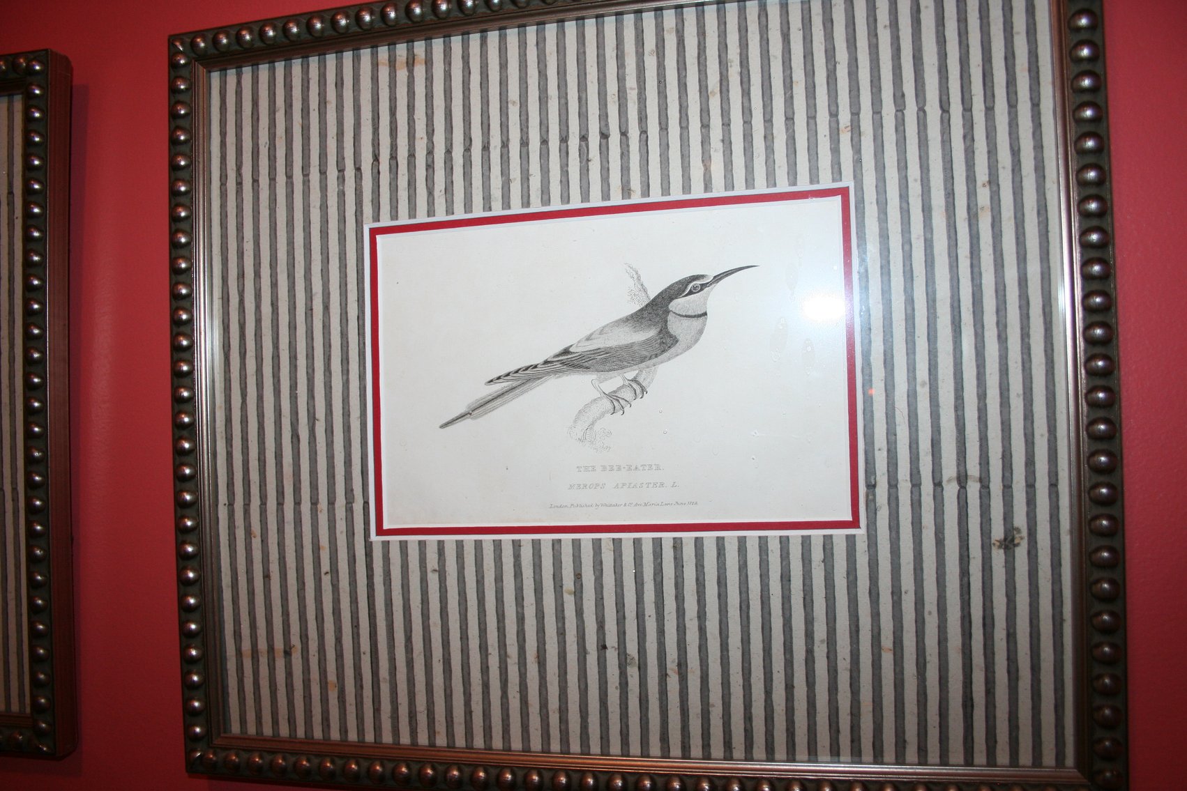 Image for Two Copper Engravings (Early 1800's)