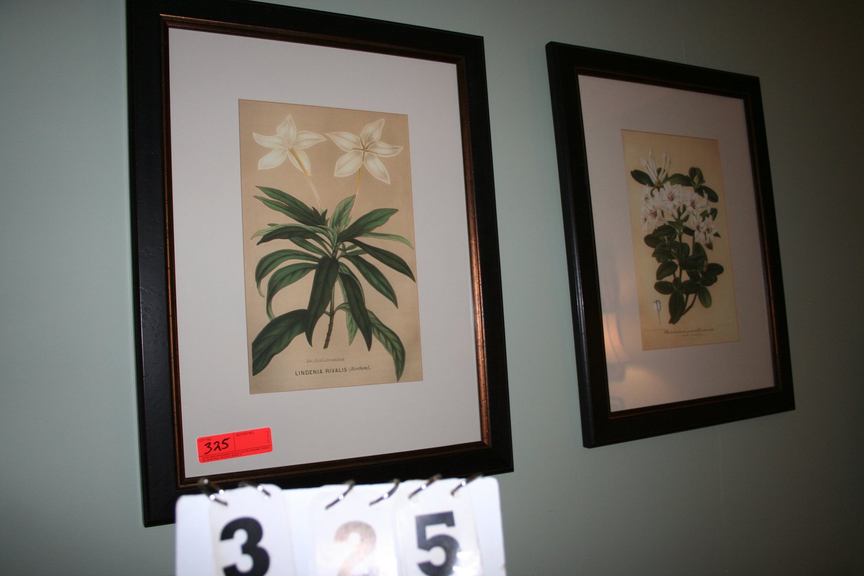 Image for Fine Art Giclee Print  (2)