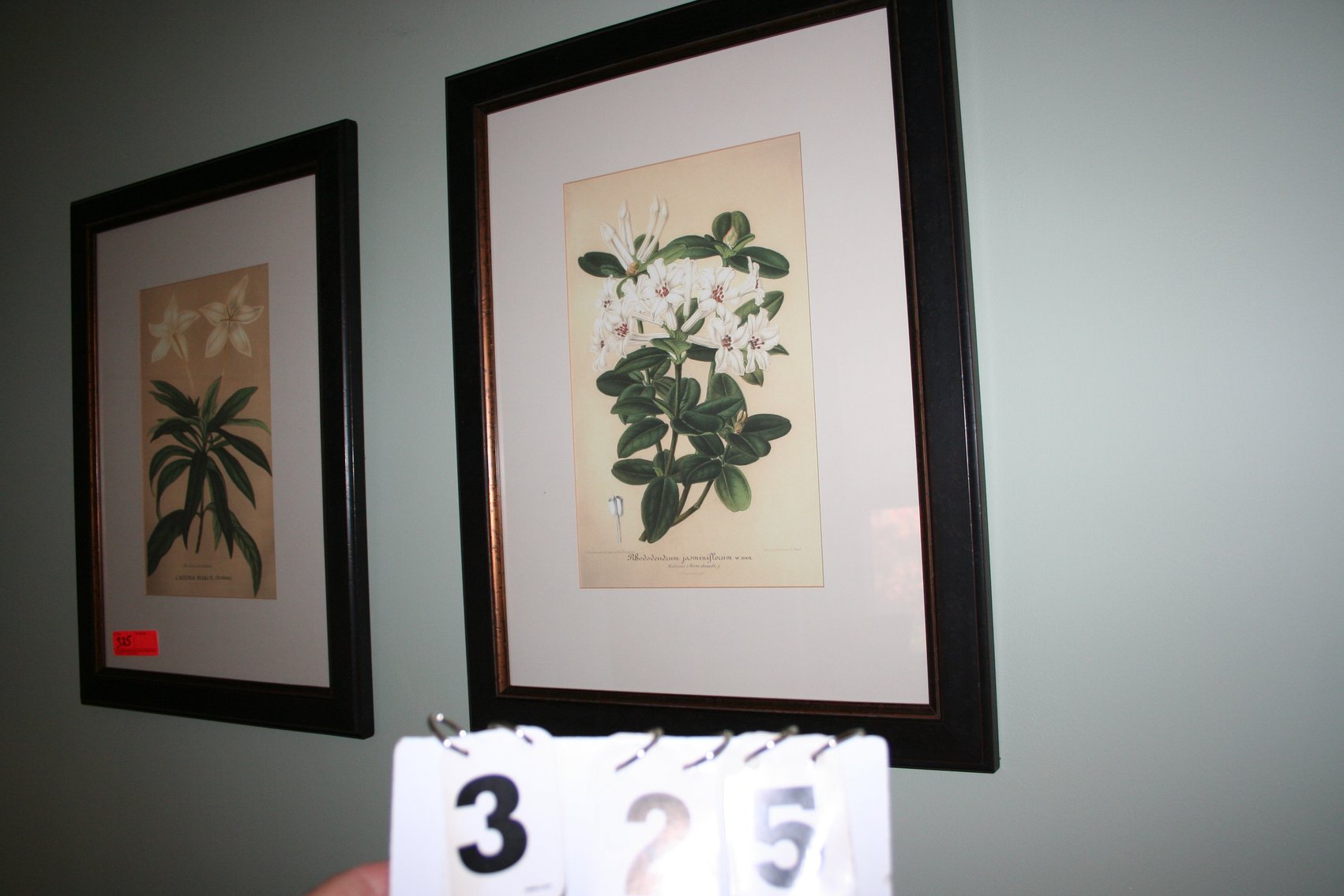 Image for Fine Art Giclee Print  (2)