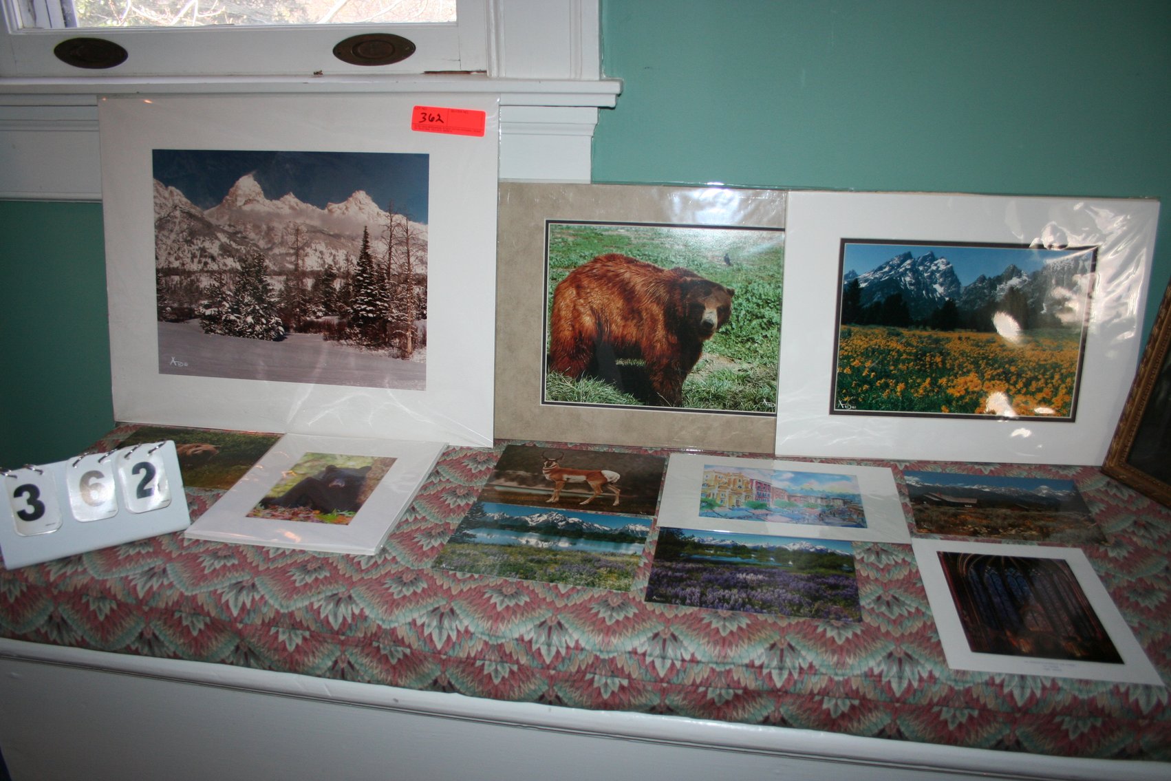 Image for Wildlife and Nature  (12)