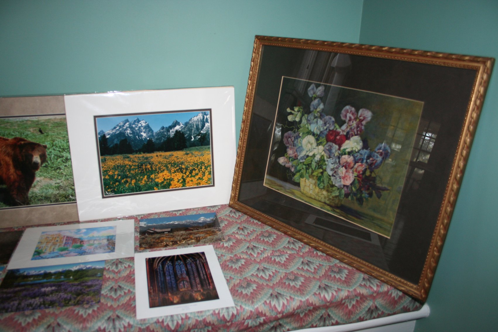 Image for Wildlife and Nature  (12)