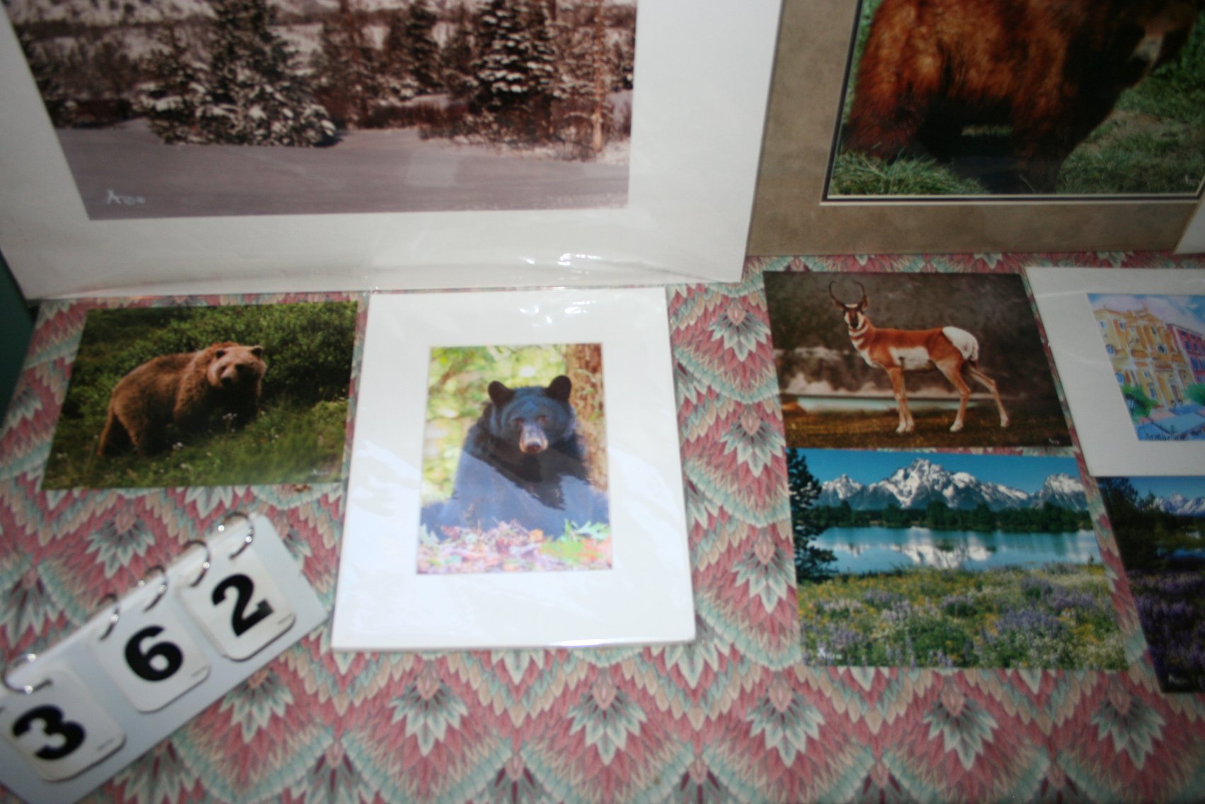 Image for Wildlife and Nature  (12)