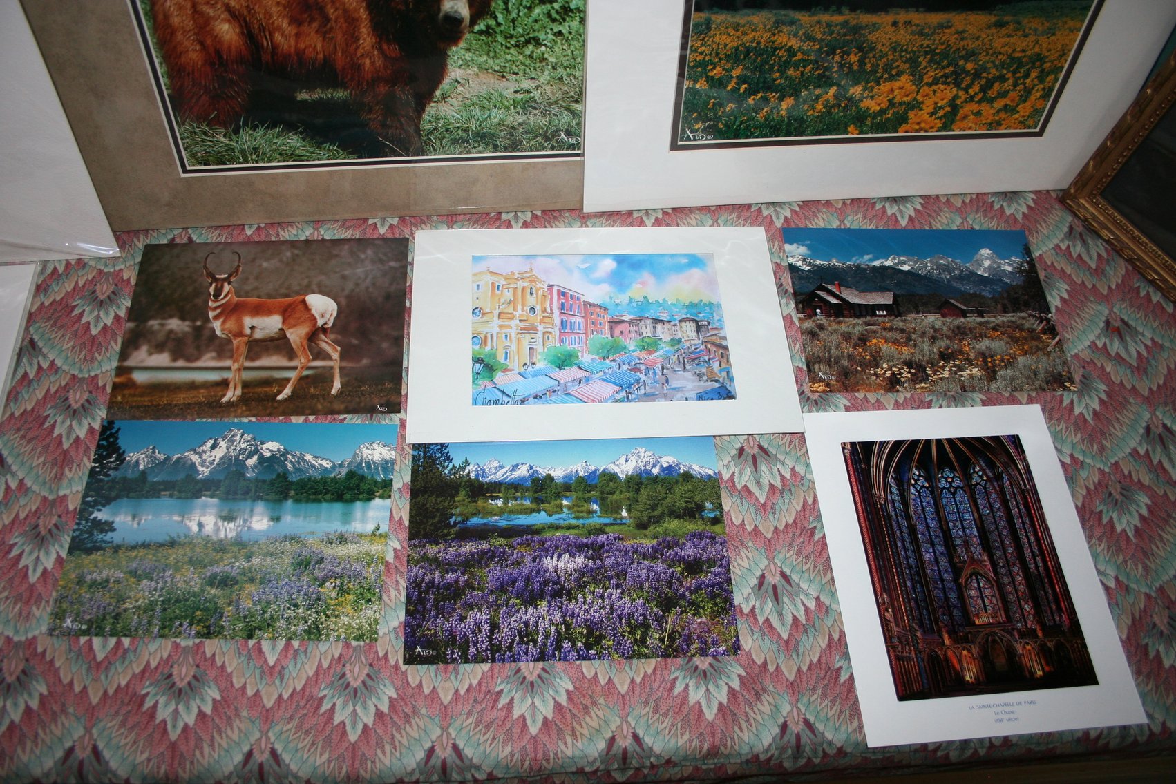 Image for Wildlife and Nature  (12)