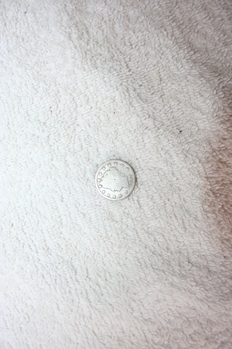 Image for 1897 Liberty Head V-Nickle  (1)