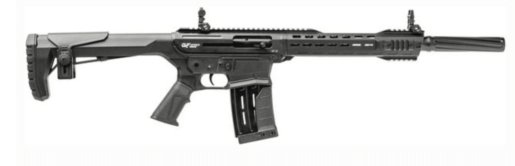 Image for GFORCE ARMS   New