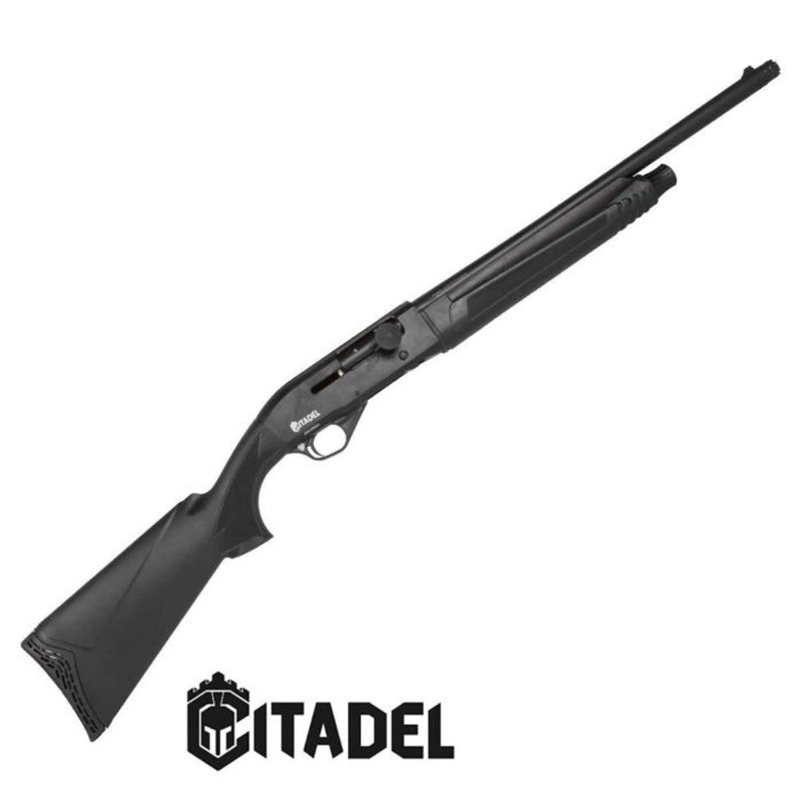 Image for CITADEL   New