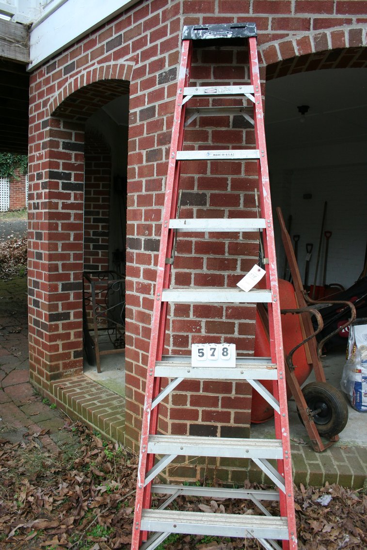 Image for Werner Ladder