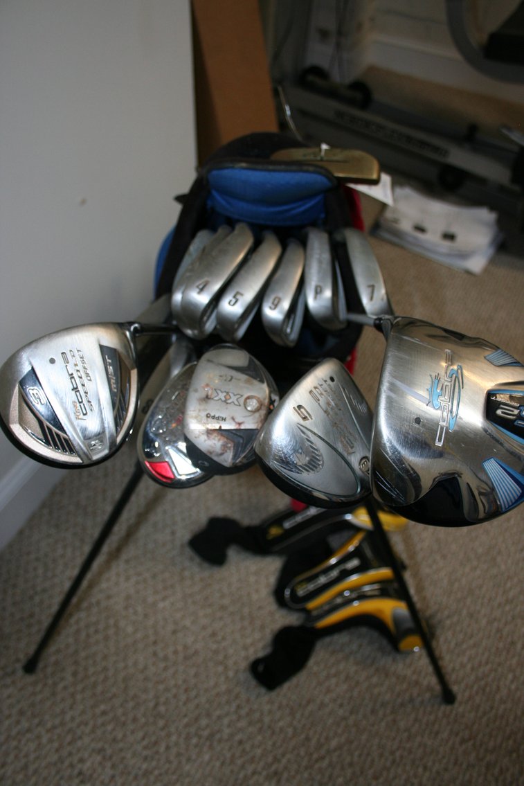 Image for King Cobra