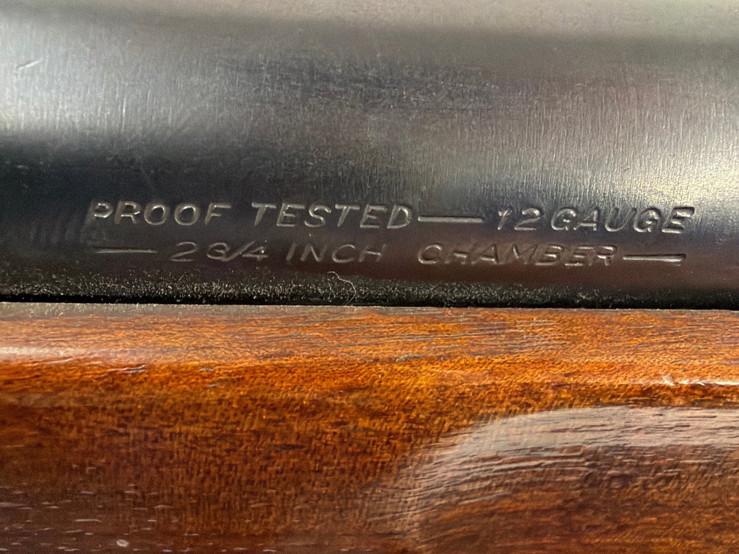 Image for SAVAGE  USED