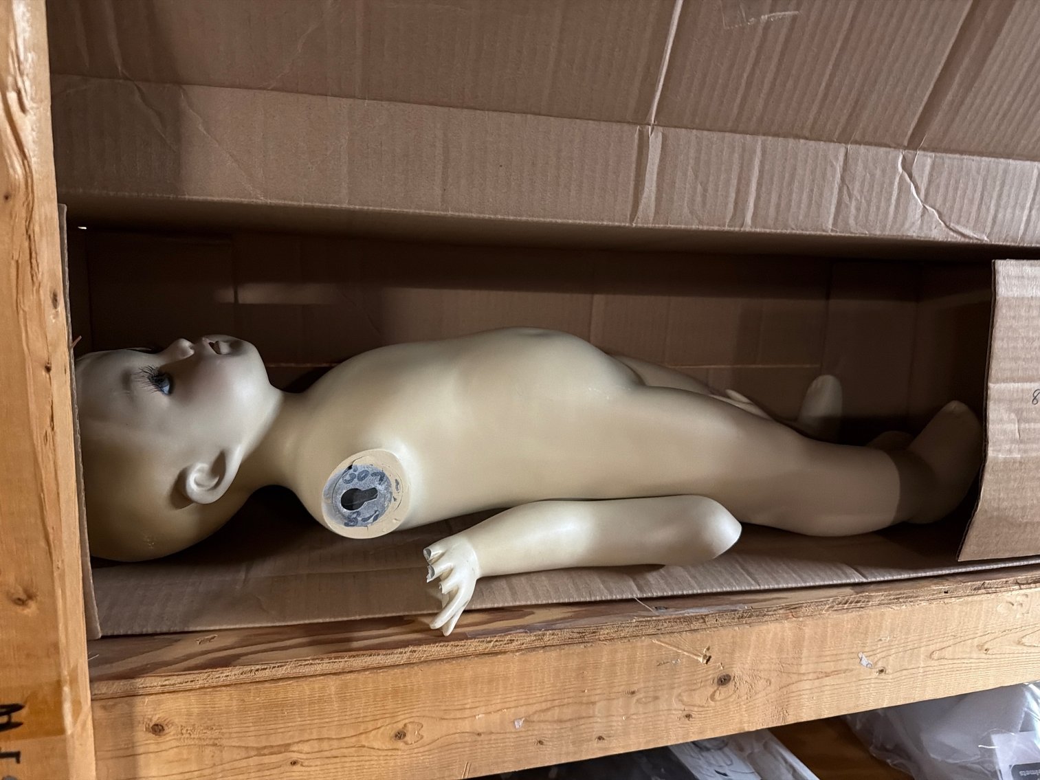 Image for Mannequins and parts