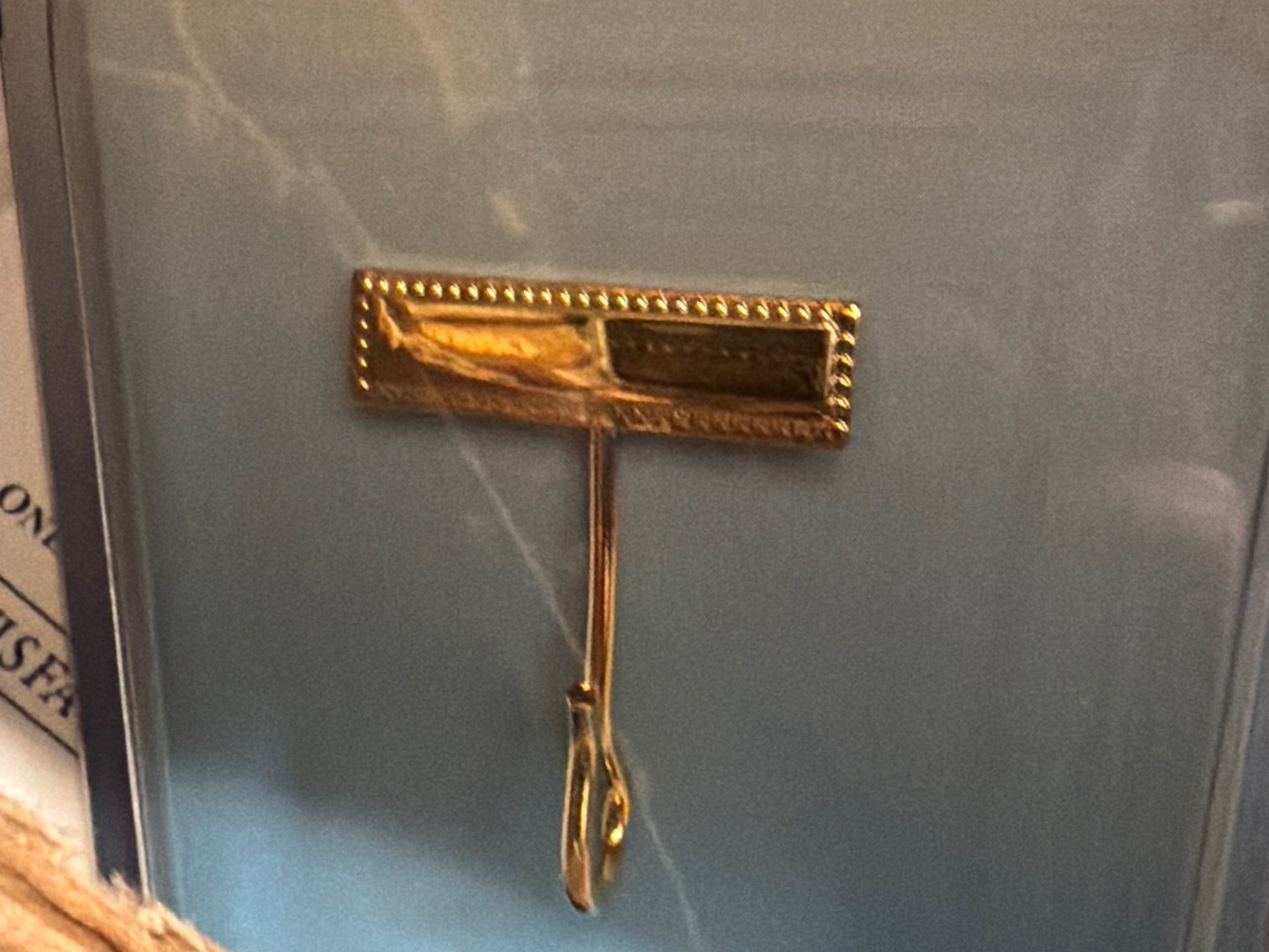 Image for Various lapel Pins