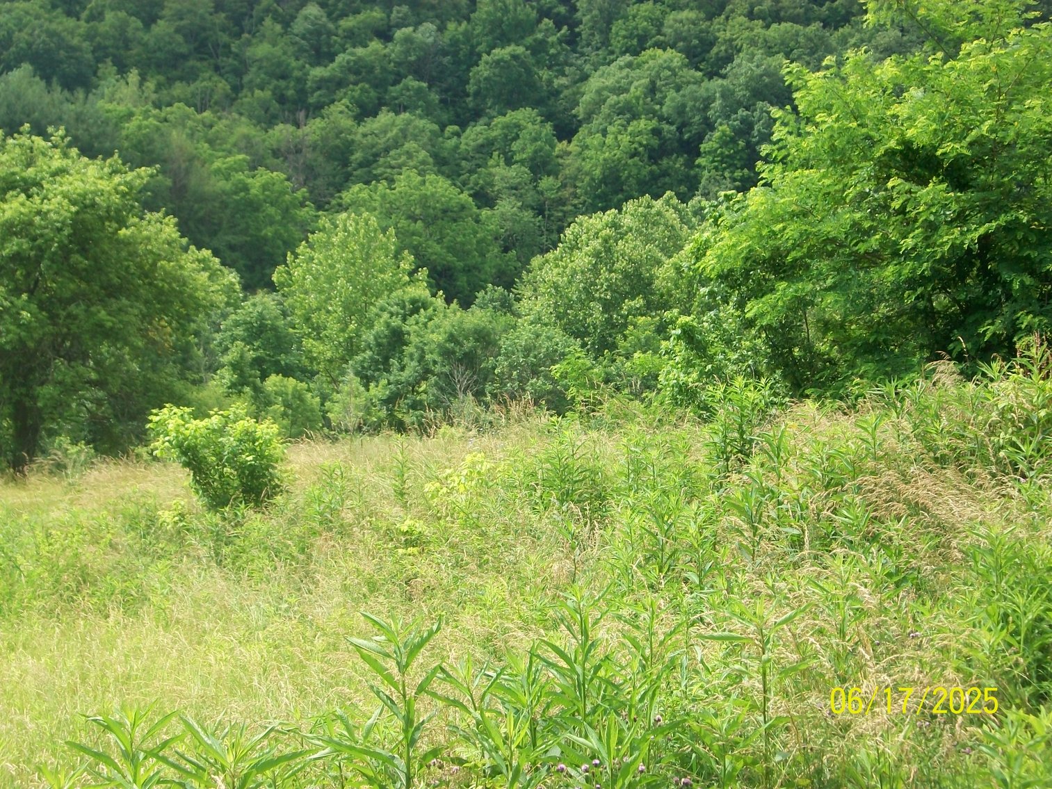 Image for Tract 1 – A 2,689’ house on 20.7 acres.