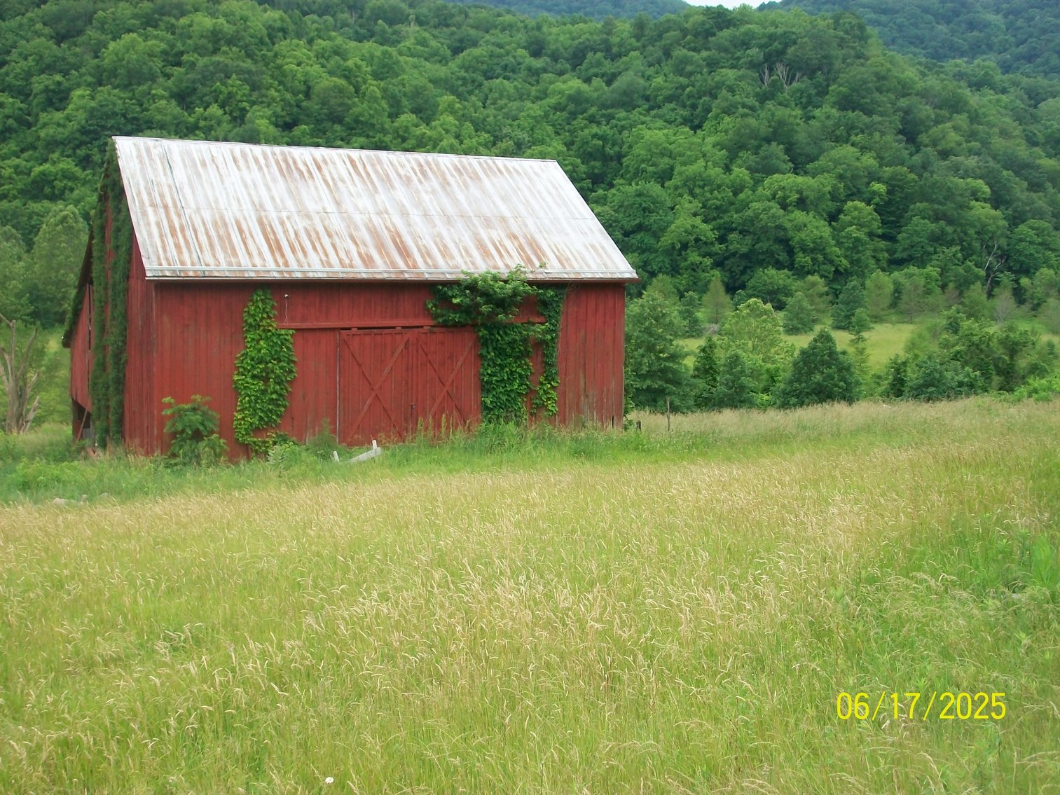 Image for Tract 2 – The tract has 49.1 acres and a barn.