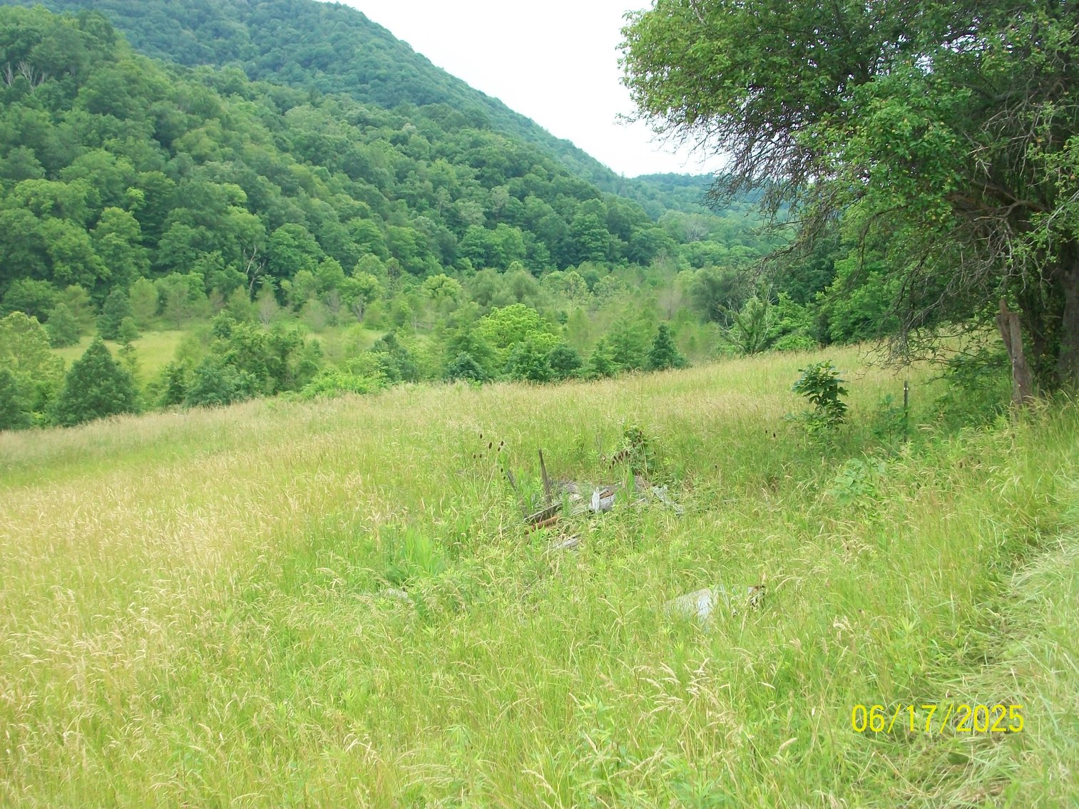 Image for Tract 2 – The tract has 49.1 acres and a barn.