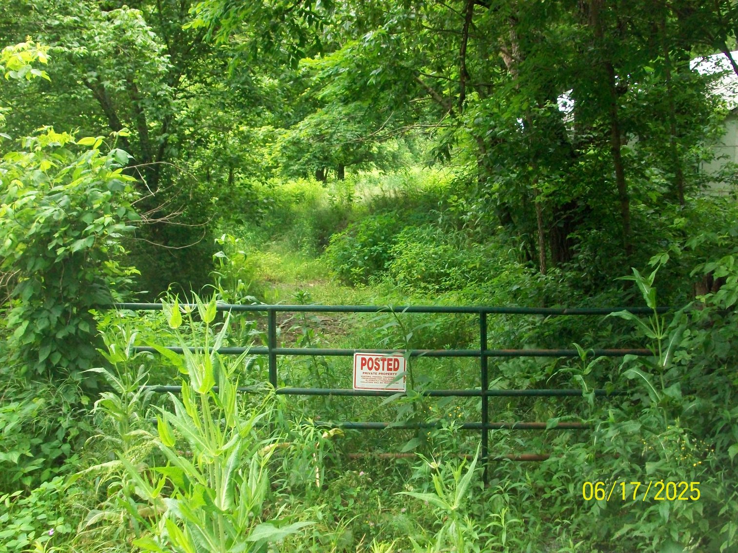 Image for Tract 2 – The tract has 49.1 acres and a barn.