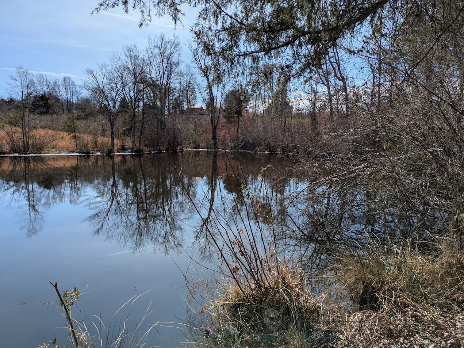 Image for Chatham VA